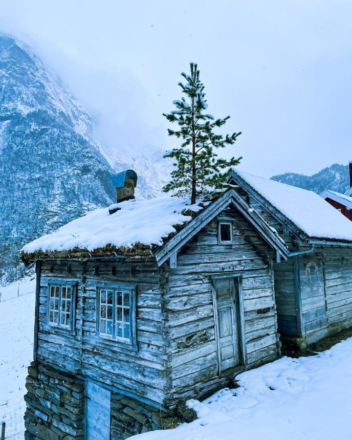 Valldal Fjord Lodge B&B エクステリア 写真